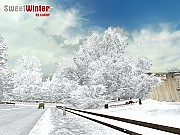 SweetWinter - zdjęcie #1